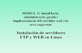 MÒDUL 1: Instal·lació, administració, gestió i ... FTP y Web en Linux.pdf · Instalación de Linux Ubuntu en el Vmware 2. ... - aptitude recuerda las dependencias que se han