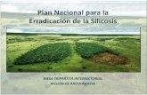 Plan Nacional para la Erradicación de la Silicosiscoreseminregionantofagasta.cl/v2/wp-content/uploads/2016/03/public... · • Uso de explosivos (perforación y tronadura) ... exposición