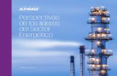 Perspectivas de los líderes del Sector Energético · PDF fileimportancia a futuro del gas natural como el combustible por elección para las empresas que lo requieren. Finalmente,