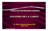 ANATOMIA DE LA CABEZA - reeme. · PDF fileirrigacion e inervacion externa de la nariz ramas de arteria facial, infraorbitaria y supraorbitaria.   ... • recto inferior-iii