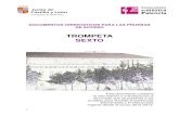 TROMPETA acceso 6 eepp - Conservatorio Profesional de ...conservatoriopalencia.centros.educa.jcyl.es/sitio/upload/TROMPETA... · Época 4. 2ª m.XV – XVI (1450-1600) La notación