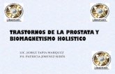 TRASTORNOS DE LA PROSTATA Y BIOMAGNETISMO …api.ning.com/files/yC7AOXGJlPU18bLc5cGTYekazSTuQly... · trastornos de la prostata y biomagnetismo holistico lic. jorge tapia marquez