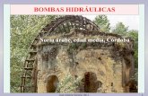 fluidos 12. Bombas hidraulicas - uco.es 12.pdf · José Agüera Soriano 2011 1 BOMBAS HIDRÁULICAS Noria árabe, edad media, CórdobaNoria árabe, edad media, Córdoba
