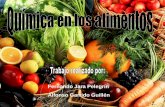 Fernando Jara Pelegrín Alfonso Garrido Guillén - DeQuimica · PDF fileLa nutrición es el proceso por el cual nuestro cuerpo aprovecha los nutrientes ... El sistema Excretor: Es