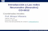 Introducción a Las redes Neuronales (Neurales) CO-6612gecousb.com.ve/guias/GECO/Redes Neuronales (EC-5721)/Material... · informe. •El proyecto es la ... • Redes de una capa.
