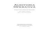 Auditoria Operativa - · PDF filePlanificación de la Auditoria Operativa 22 i. Determinación de los Objetivos 22 ii. Orientación de la Auditoria 22 iii. Metodología de la Auditoria