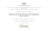 Gestión de Riesgos en las Entidades Financieras: El Riesgo ...uvadoc.uva.es/bitstream/10324/3654/1/GESTION DE RIESGOS EN LAS... · Financieras: El Riesgo de Crédito y Morosidad