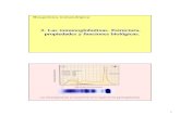 2. Las inmunoglobulinas. Estructura, propiedades y ... · PDF file1 Bioquímica inmunológica 2. Las inmunoglobulinas. Estructura, propiedades y funciones biológicas. Albúmina Proteínas