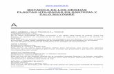 botanica orishas esp -  · PDF file  Plantas usadas en Santería y Palo Mayombe – Oshun Bomiré 1   ... los caracoles y las herramientas de los Orishas