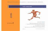 3 Los músculos - sculos.pdf · PDF filePágina 1 Por Justo García Sánchez Contenidos • Tipos de músculos del cuerpo humano. • Estructura y función del músculo esquelético.