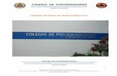 UNIDAD INTERNA DE PROTECCIÓN CIVIL - Campus …colposcordoba.com/PDF/ProteccionCivil/Proteccion_civil2013.pdf · Formato DCS-002-04 D. Informe simulacro E. Informe trimestral F.