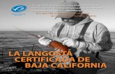 La langosta certificada de Baja Californiaawsassets.panda.org/downloads/langosta_msc_cobi_wwf_ebook.pdf · El consumo de langosta certiﬁcada de Baja California da a comensales y