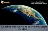Cadenas productivas de alto valor/Clusters de México. · PDF fileQuerétaro, Aguascalientes, Baja California, Baja California Sur , Chiapas, Chihuahua, Coahuila, Colima, Durango,