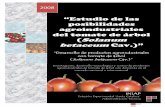 “Desarrollo de productos agroindustriales con tomate de ...repositorio.educacionsuperior.gob.ec/bitstream/28000/837/1/P... · Directrices del Codex sobre los líquidos de cobertura