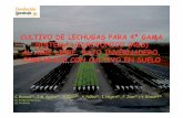 CULTIVO DE LECHUGAS PARA 4ª GAMA SISTEMA …ngsystem.com/img/pdfs/pdf-COMPARATIVA_NGS... · - Uno de los principales problemas del cultivo de lechugas en su procesado para 4ª gama,