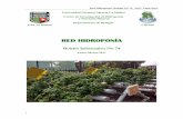 RED HIDROPONÍA -  · PDF fileemail: redhidro@  web:   Mayo 11-19. 2017. Curso de Hidroponía Modalidad Distancia. Centro de