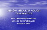 Dra. Irene Ferreiro Marzoa Servicio de Rehabilitación ...sogacot.org/Documentos/LesionMedularAgudaTraumatica.pdf · – Shock • Medidas (A,B,C ... espinal con función sensitiva
