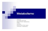 metabolismo - [DePa] Departamento de Programas …depa.fquim.unam.mx/amyd/archivero/metabolismo_4667.pdf · Descubrimiento de diversas enzimas y los mecanismos empleados ... oxidasa