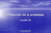 Protección de la propiedad - eprints.ucm.eseprints.ucm.es/30527/7/Protección de la propiedad.pdf · –Publiciana (protección del poseedor que está usucapiendo con ficción a