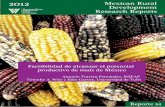 2012 Mexican Rural Development Research Reportsase.tufts.edu/gdae/Pubs/wp/12-03TurrentMexMaizeSpan.pdf · Antonio Turrent Fernández, INIFAP Timothy A. Wise y Elise Garvey, Universidad