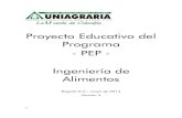 Proyecto Educativo del Programa - PEP - Ingeniería de ... · PDF file5.1 Diseño curricular del programa 35 ... (Malla Curricular) 58 5.6. Perfiles del programa Ingeniería de ...