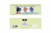 Regulación neuroendocrina del sistema inmune - …alergomurcia.com/pdf2007/Presentacion_oral_neuroendocrino_sole.pdf · bidireccional entre el cerebro y sistema inmune ... actúan