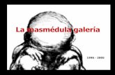 1996 - 2005 - · PDF fileLa masmédula es una galería independiente de pintores para ... noviembre 23: Ventanas Indiscretas(dibujo y arte objeto) Gabriel Ruiz ... Consejo Artístico