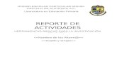 REPORTE DE ACTIVIDADES - Web viewElaborar una introducción que permita resumir de forma concreta lo que contiene el proyecto o reporte desarrollado. Esto contiene de manera general