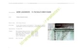 TESIS DOCTORAL: AUTOR: RODRIGO ALMONACID · PDF fileAcuarela de Positano realizada por (c) ... paisaje”), las cualidades específicas del paisaje en Dinamarca permiten explicar los