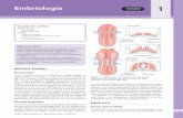 Embriología - media.axon.esmedia.axon.es/pdf/89444_1.pdf · de la audición y el equilibrio que se desarrollan a partir del otocisto. † El nervio glosofaríngeo (IX) es mixto.