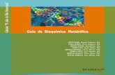 Guía de Bioquímica Metabólica - ECORFAN de Bioquimica... · ECORFAN-México Guía de Bioquímica Metabólica Autores LÓPEZ-RIOJAS, Brenda Gabriela, MsC. PÉREZ-FLORES, Flavia