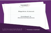 Álgebra Lineal Unidad 3. Determinantes · PDF filematemático suizo Gabriel Cramer como Regla de Cramer, quien en 1750 la publicó en su Introduction à l'analyse des lignes courbes
