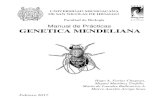 Manual de Prácticas GENETICA MENDELIANAbios.biologia.umich.mx/obligatorias/biol_cel_mol/manual_genetica... · Facultad de Biología Manual de Prácticas GENETICA MENDELIANA ... resultados