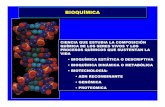 BIOQUÍMICABIOQUÍMICA - ugr.esramirezr/Templates/BIOQUMICA1.pdf · bioquÍmicabioquÍmica ciencia que estudia la composiciÓn quÍmica de los seres vivos y los procesos quÍmicos