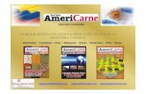 Revista Americarne - F.pdfapi.ning.com/files/aCVOBX-TshSY*FQnlCaHdHr01PtueYAmUOgP9X5jS... · edicion colombia la mejor revista en latinoamerica del sector de la industria carnica.