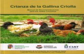sicsantacruz.comsicsantacruz.com/Biblioteca/01_PDF/02_avicultura/... · ... Tipos de comederos e) ... (de 1 a 5 meses de edad) c) Gallinas y gallos ... con una muy amplia gama de