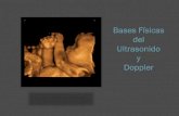 Bases Físicas del Ultrasonido y · PDF fileBases Físicas de Ultrasonido La ecografía es un método diagnóstico basado en el eco del ultrasonido en los diferentes órganos maternos