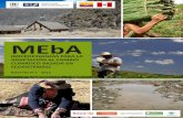 MEbA - FS UNEP Centrefs-unep-centre.org/sites/default/files/project/1/boletin_meba_n1... · Por lo tanto, el Programa de las Naciones Unidas para el Medio Ambiente, ... (basada en