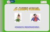 APARATO RESPIRATORIO - …iespoetaclaudio.centros.educa.jcyl.es/.../aparato_respiratorio... · pulmón izquierdo fosas nasales faringe epiglotis laringe pulmón derecho corazón bronquio
