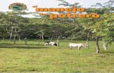manejo en potrero - FAO Logincoin.fao.org/coin-static/cms/media/13/13424772770770/... · el ganado necesita de pasto todo el año pero, durante la época seca, el pasto se escasea