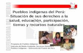 Pueblos indígenas del Perú: Situación de sus derechos a la ... · PDF fileAgua por red pública Sin abastecimiento por red pública ... No se implementa la EIB en educación secundaria.