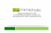 Reglamento de Construcción Para El Municipio De Tapchula ...portal.tapachula.gob.mx/docs/fraccion9/municipales/6Reglamentode... · alineamiento, nÚmero oficial y nomenclatura ...