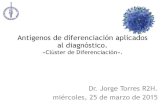Antígenos de diferenciación aplicados al diagnóstico.incan-mexico.org/wp_hematologia/wp-content/uploads/Antígenos-de... · Definición. • El clúster de diferenciación es un