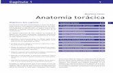 Matthias Hofer Anatomía torácica - media.axon.esmedia.axon.es/pdf/68797.pdf · rayos X, y causan por ello una mayor atenuación (debilita-miento) del haz de rayos X que el tejido