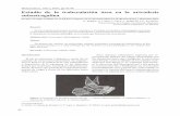 Biomecánica, 18(1), 2010, pp 42-46 Estudio de la ...upcommons.upc.edu/bitstream/handle/2099/12305/06 Estudio de la... · Estudio de la trabeculación ósea en la artrodesis subastragalina