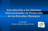 Introducción a los Sistemas Internacionales de Protección ...w2.ucab.edu.ve/tl_files/CDH/Lineastematicas/Introduccion a los... · Decisiones de fondo nueve votos afirmativos, ...