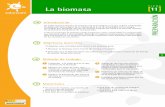 FICHA La biomasa 11 - solarizate.orgsolarizate.org/pdf/castellano/fichasalumnos/FICHA11.pdf · FICHA 11 4 5 La biomasa De todas nuestras fuentes de energía es la más antigua, es