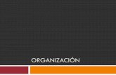 ORGANIZACIÓN -   · PDF fileen que las decisiones ... •Énfasis en el conocimiento de las personas. Departamentalización ... marketing México Núcleo central