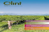 Olivicultura - olint.com núm 29.pdf · Diseño y ejecución de plantaciones mecanizadas e instalaciones de riego Somos especialistas en optimizar la rentabilidad de su explotación