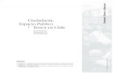 Ciudadanía, Espacio Público y Temor en Chile -  · PDF fileEn este marco, se entiende la ciudadanía como ejercicio al interior de la comunidad política, que posibilita,